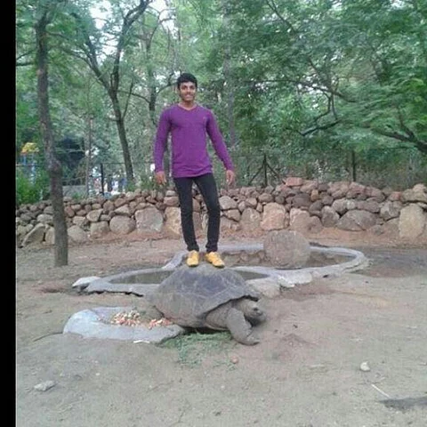 This young man learnt the hard way that standing atop a 120-year-old tortoise isn't a good idea