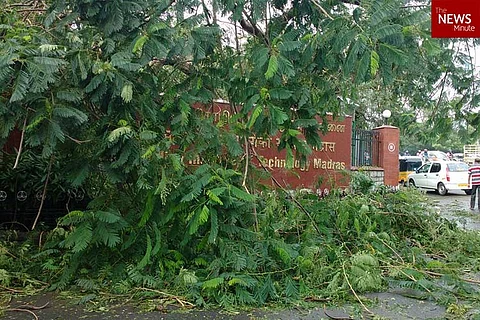 In pictures: What IIT Madras looks like a day after being hit by cyclone Vardah