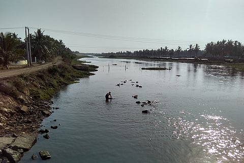 Ground Report: Why villagers in Andhra are up in arms against the Godavari Mega Aqua Food Park