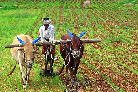 Why changes to Karnataka’s Land Reforms Act may worsen the agrarian crisis