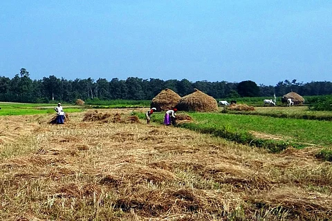 Your future food will be grown with waste water