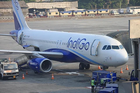 Indigo flight