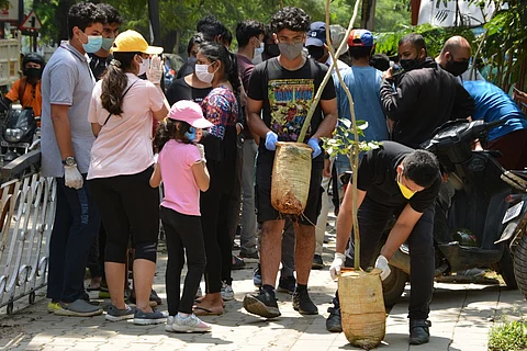 Tree plantation drive on 100ft road