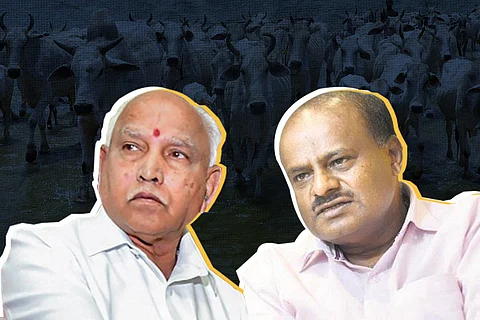 JD(S) will oppose anti-cow slaughter bill says HD Kumaraswamy