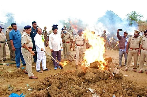 Andhra officials destroy 7,800 kg of ganja, Minister warns against cultivating crop