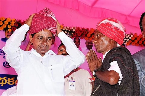 To revive livestock economy in Telangana, state govt to distribute 15 million sheep