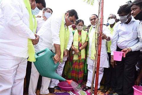 Telangana Municipal Administration and Urban Development Minister KT Rama Rao watering a plant at a Haritha Haram event