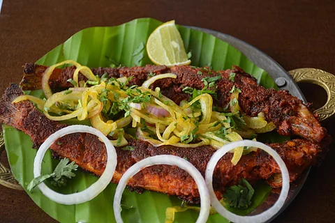 Kane Tawa Fry