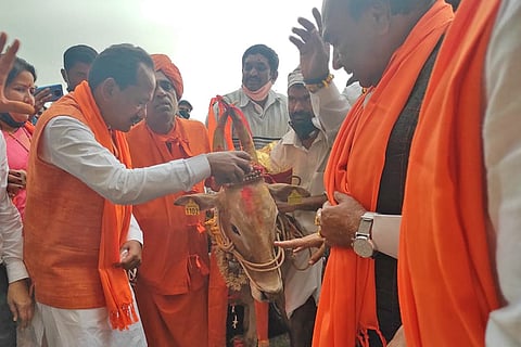 Animal Husbandry Minister Prabhu Chavan worshiping an ox