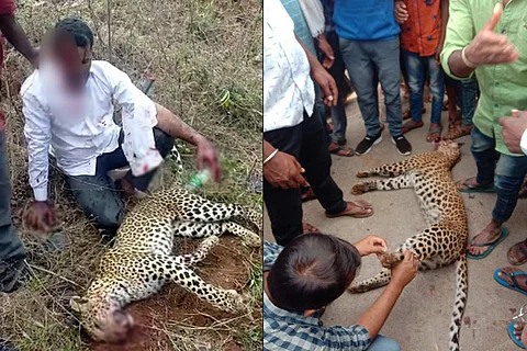 A collage of an image of the Karnataka man who killed the leopard and the body of the leopard