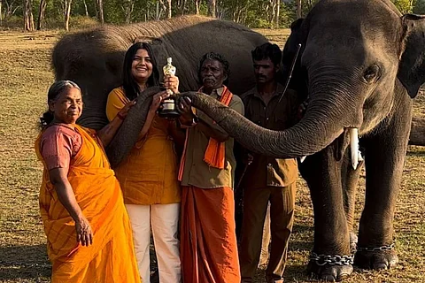 Bomman, Bellie from The Elephant Whisperers allege exploitation by filmmakers