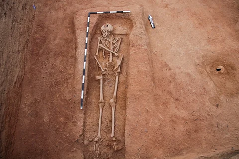 Keezhadi adult sized human skeleton