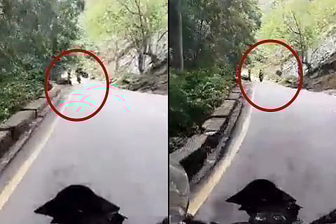 Video of Kerala biker who was killed after a falling boulder crashed into him