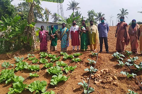 Want to learn farming? Head to this farmers’ group in Kerala