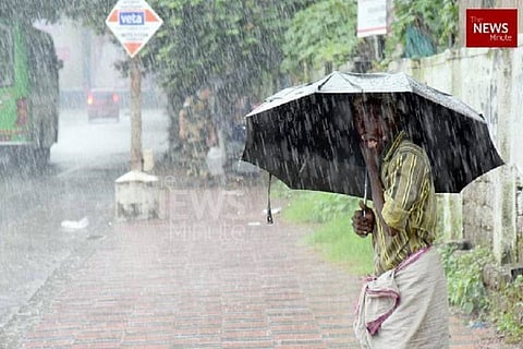 A person with an umbrella standing on the road amidst rain