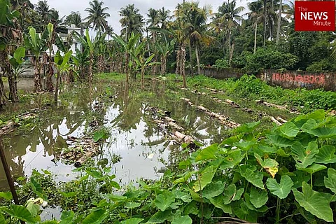 Kerala rains: Death toll rises to 29, government assesses damage
