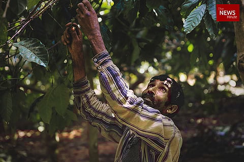 Coorg's bitter brew: Bonded labour in India's biggest coffee estates