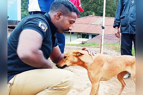 Ajith to adopt Koovi the dog that waited for its owner after Pettimudi landslide