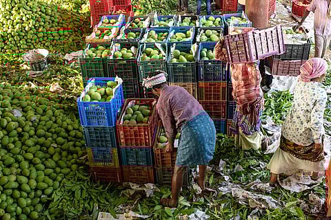 Representative image of a fruit vendor