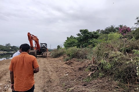 PWD 'mistakenly' razes down over 100 plants in Chennai park, later offers to replant