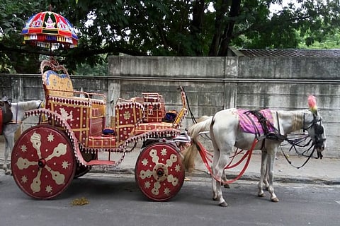 Chennai on a chariot: Kumar and his horse carriages are remnants of the city's past
