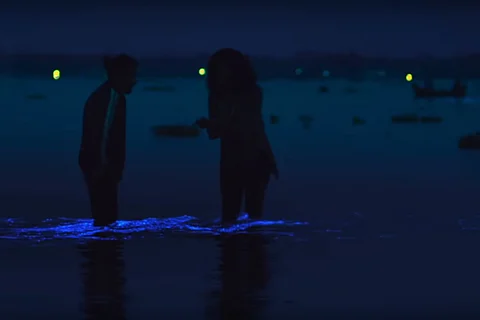 The ‘magical glow’ in the waters in ‘Kumbalangi Nights’: The secret behind the sparkle