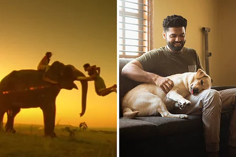An image from Kumki on the left and an image of actor Rakshit Shetty and a Labrador from 777 Charlie