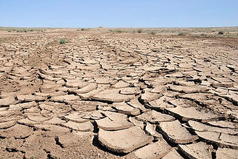 On dangerous ground: land degradation is turning soils into deserts