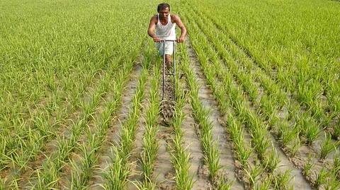 K’taka amends Land Acquisition Act to speed up projects, activists call it ‘dangerous’