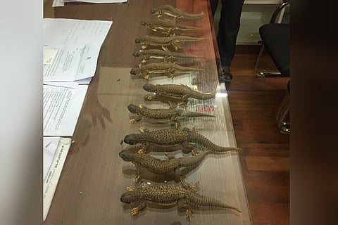 10 spiny-tailed lizards being sold as ‘aphrodisiacs’ rescued by Bengaluru cops