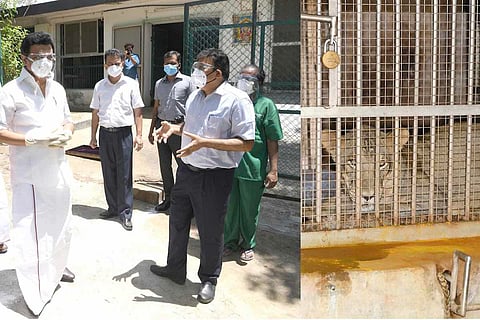 MK Stalin vists COVID-19 infected lions