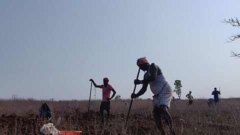 MGNREGA daily wage labourers working in a field