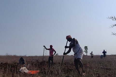 MGNREGA daily wage labourers working in a field