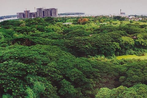 Kerala govt's plan to build expo centre near a bird sanctuary raises hackles