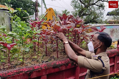 Confiscated vehicles