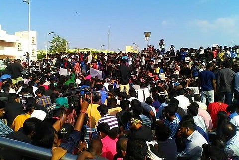 Massive groundswell for pro-Jallikattu protests, Marina overflows with people