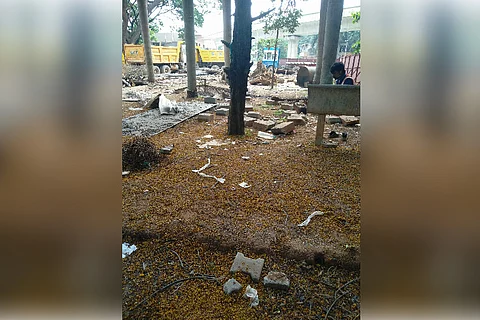 250 trees to be cut for Bengaluru metro line? Residents up in arms