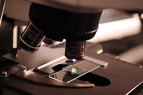 Tim Hunt, science and sexism: Did the punishment fit the crime?