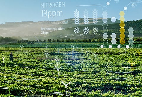 Microsoft India is using AI sensors to make farming and healthcare smart