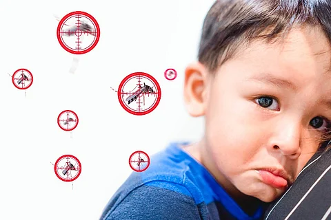 All you need to know about dengue: Symptoms and treatment