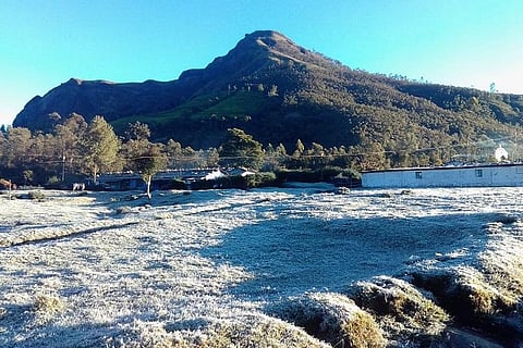 Kerala’s Munnar sees sub-zero temperatures, tourists flock to frost-covered town