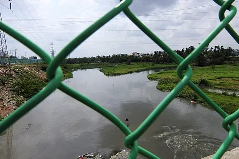 A water body
