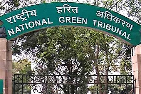 NGT sets up commission after allegations that Telangana removed green cover for Palamuru 