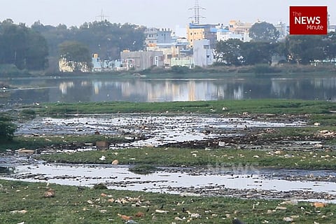 Watch: In Bengaluru's Peenya, industrial pollution is destroying public health