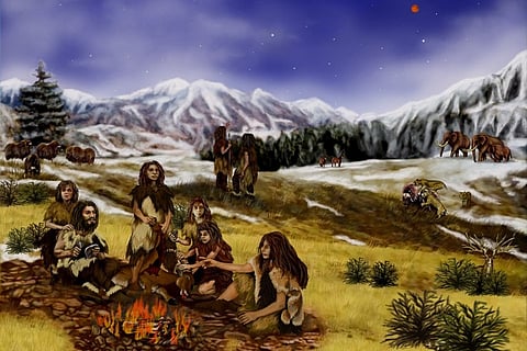 The daily life of a Neanderthal revealed from the gunk in their teeth