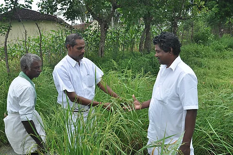 Reviving indigenous seeds: A silent revolution in India’s rice growing states