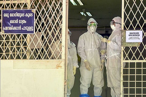 Nipah virus rep image