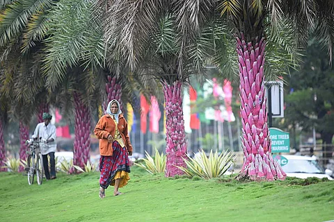 Telangana horticulture dept sacks outsourced workers, leaves them in the lurch