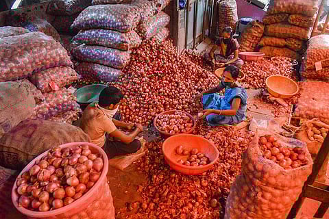 Sorting onions