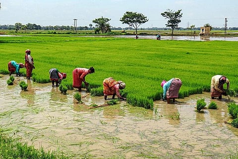 Telangana govt issues order to waive crop loans of up to Rs 1 lakh for farmers